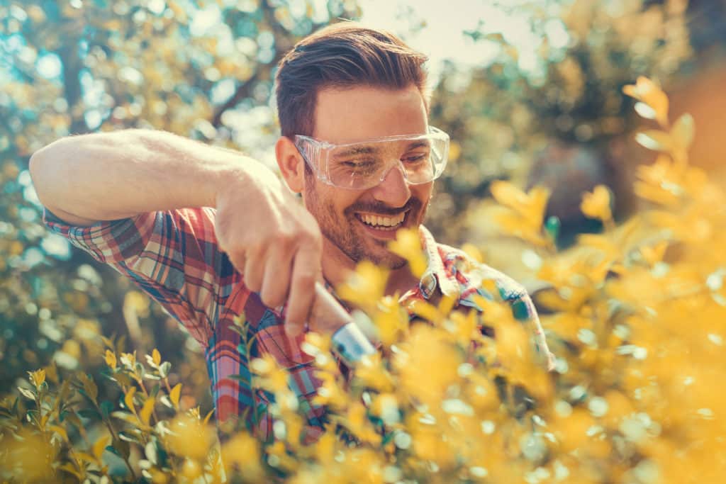 5 Best Advantages of Renting Dumpsters for your Spring Cleaning Spring Cleaning Canyon View Dumpsters Ogden UT