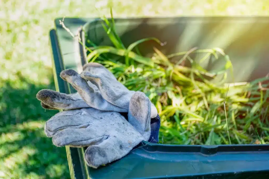A Guide to Yard Cleanup: Why You Need to Rent a Dumpster for Your Fall Project Yard cleanup in Ogden, Utah